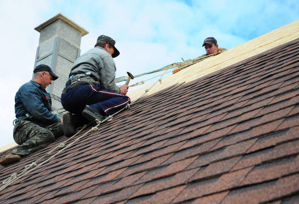Best New Roof Installation  in Riverbend, WA